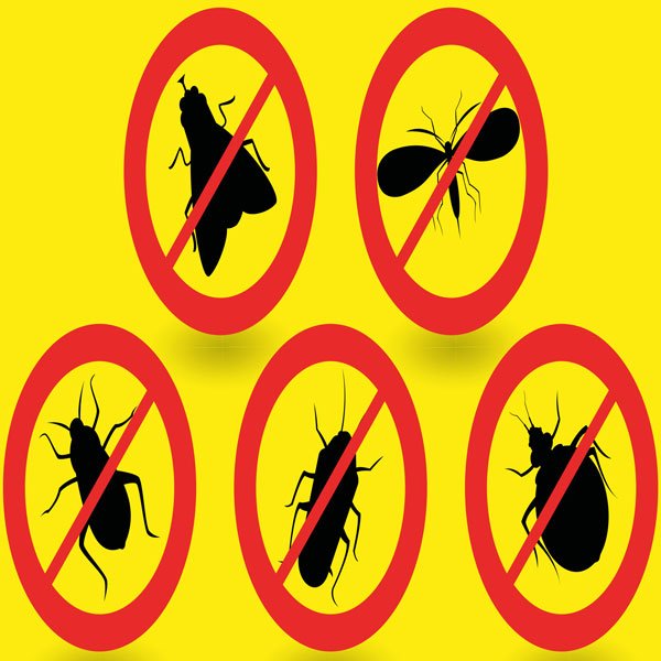 Pest Control
