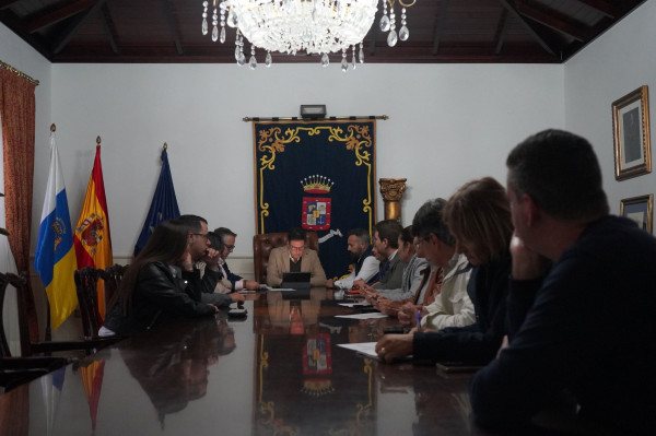 The mayor brings a motion to the plenary session demanding the urgent implementation of the TF-82 road safety project as it passes through La Vetita.