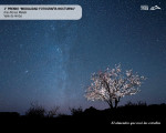 The City Council announces the winning entries of the 29th "Almond Blossom" Photography Contest 2026