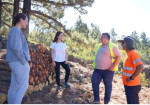 Santiago del Teide treats more than 1,100 almond trees, a commitment to its rural landscape