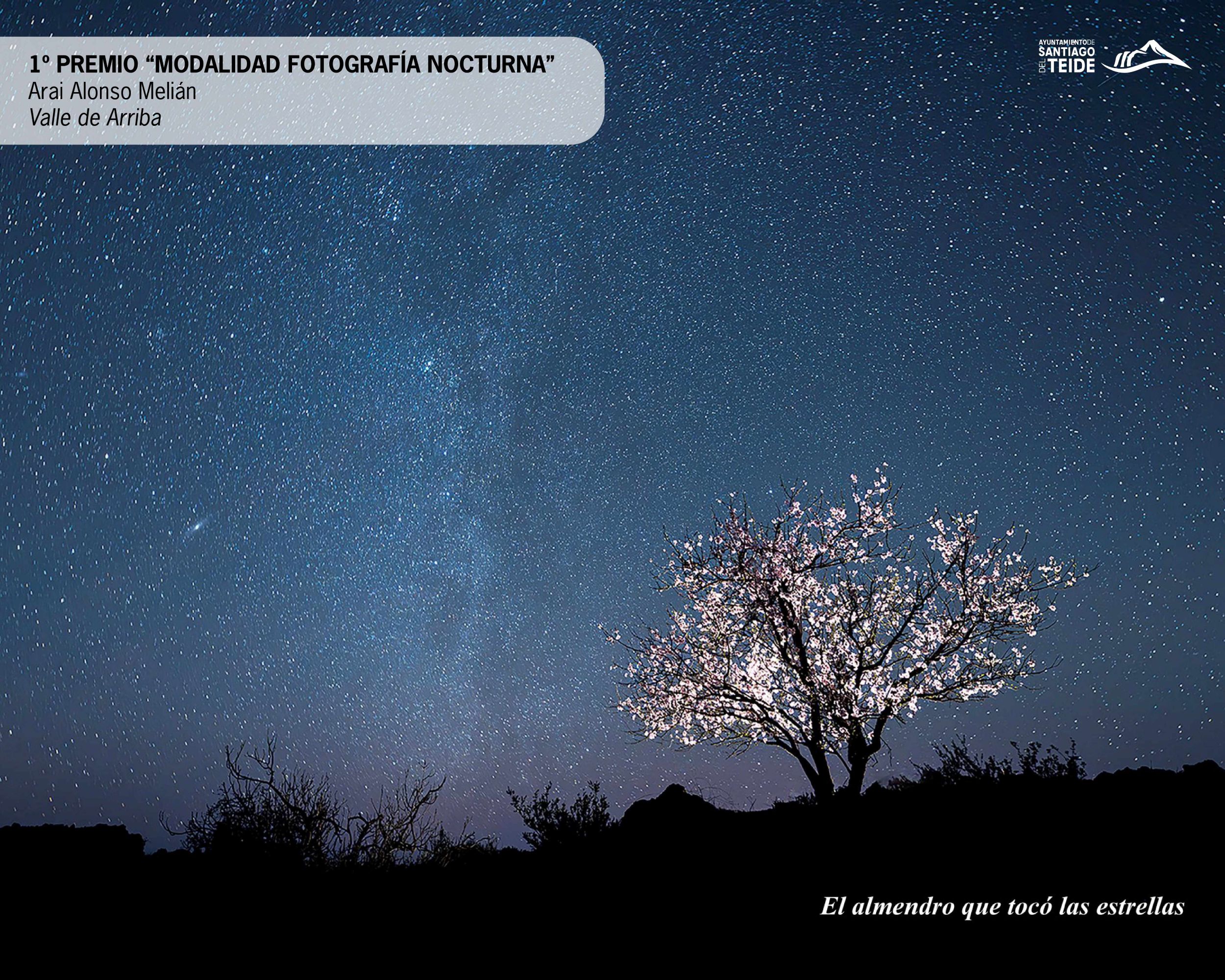 The City Council announces the winning entries of the 29th "Almond Blossom" Photography Contest 2026