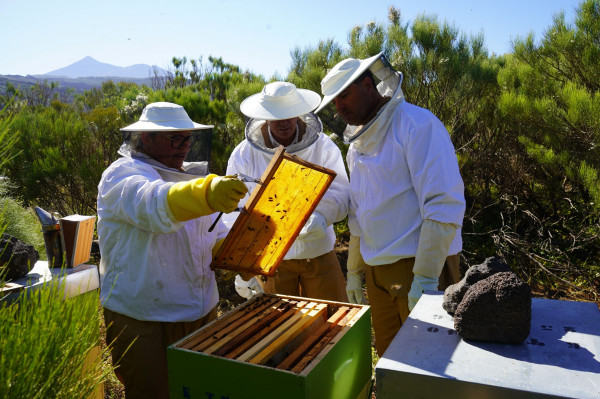 The City Council increases aid to the local primary sector to €70,000